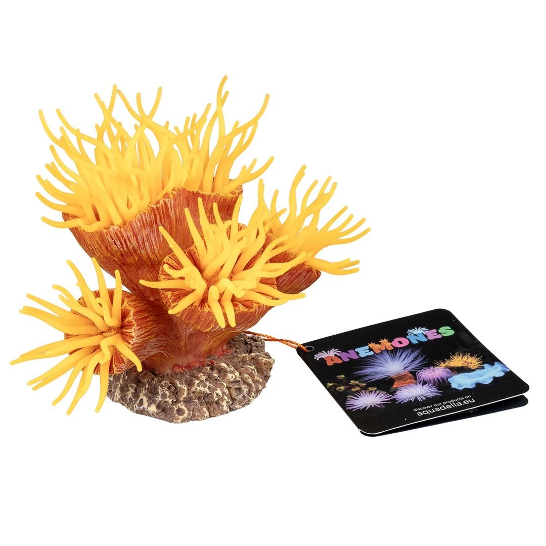 Kunstplant Euphyllia Oranje