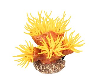 Kunstplant Euphyllia Oranje