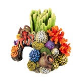 Koraalgrot Recht M Meerkleurig