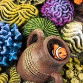 Koraalgrot Recht L Meerkleurig