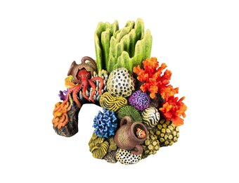 Koraalgrot Recht L Meerkleurig