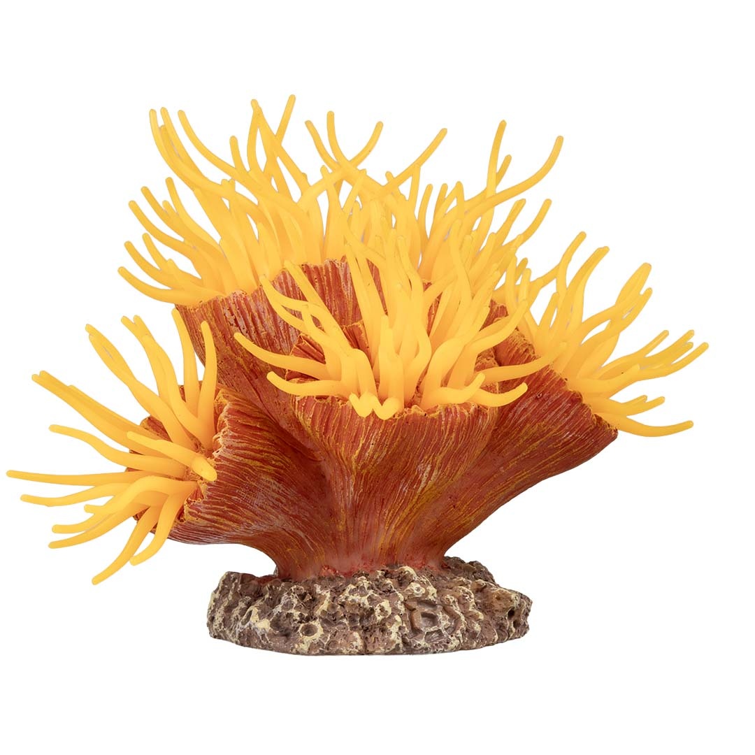 Kunstplant Euphyllia Oranje