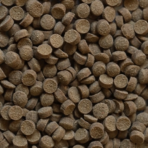 Rin Crusta Snack 85g