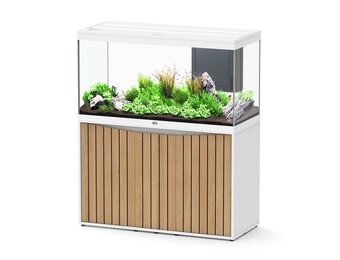 Aquarium Splendid 120x50 Ultra RGBW Biobox set