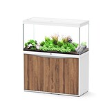 Aquarium Splendid 120x50 Ultra RGBW Biobox set