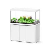 Aquarium Splendid 120x50 Ultra RGBW Biobox set