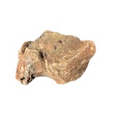 Premium Lava Red M (1 stuk) 15–20 cm