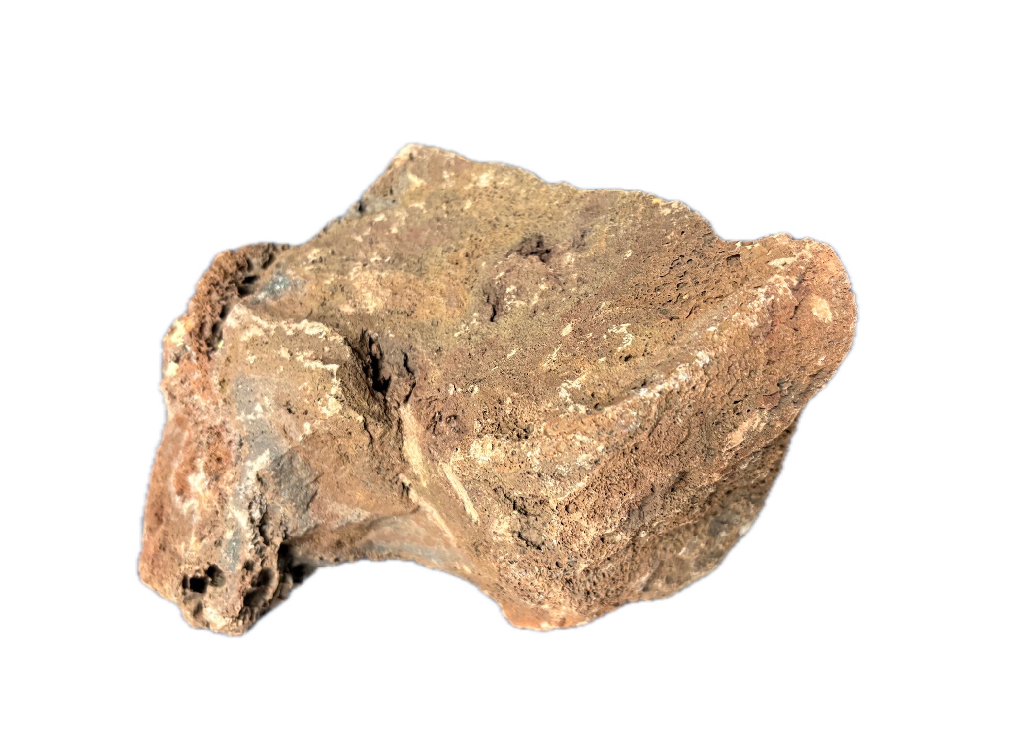 Premium Lava Red M (1 stuk) 15–20 cm