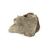 Premium Lava Black M – 15–20 cm (1 stuk)