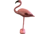 Bird Flamingo S