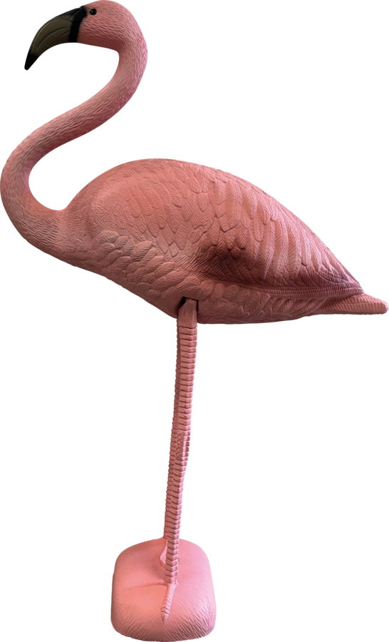 Bird Flamingo S
