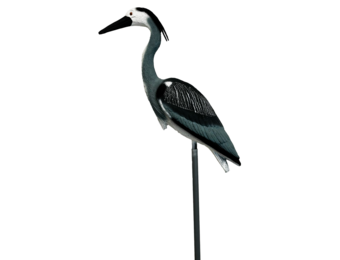 Bird Heron S