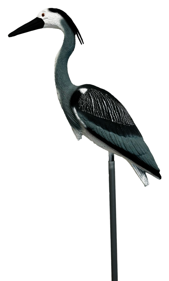 Bird Heron S