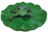 Floating Frog