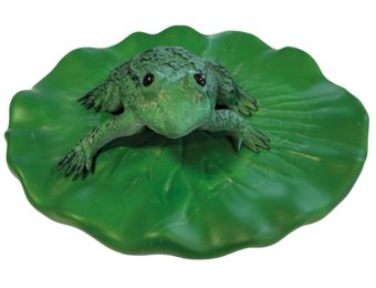 Floating Frog
