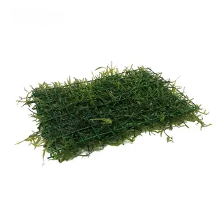 planten op een matje