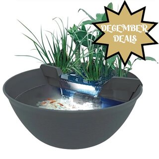 December DEALS - Diversen