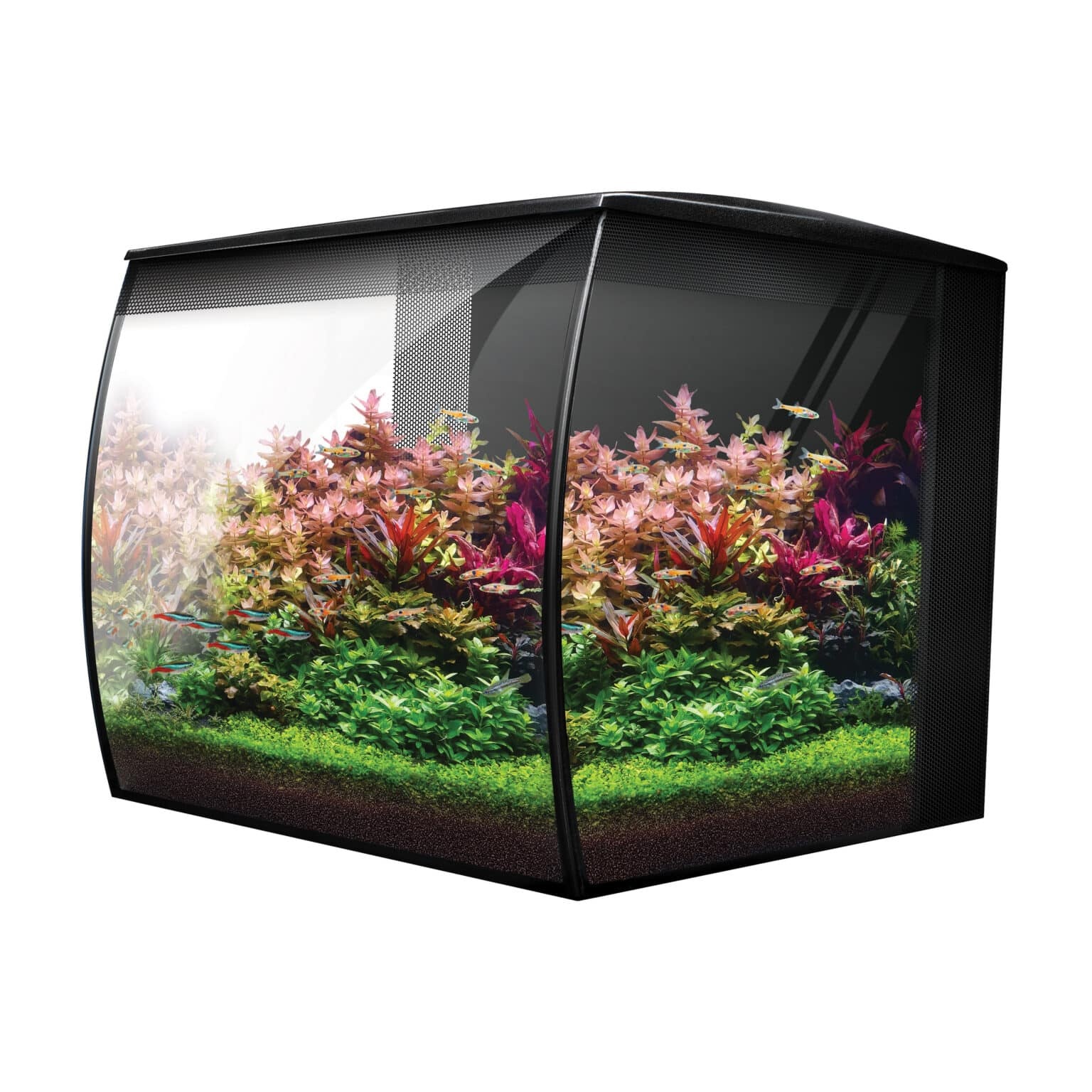 Flex 2.0 Aquariumset 34L Zwart