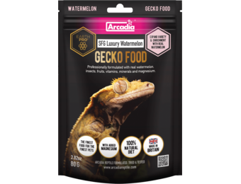 Earth Pro Gekko Stickyfood Gold Luxury Watermeloen 80g