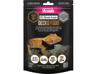 Earth Pro Gekko Stickyfood Gold Ultimate Breeder 80g
