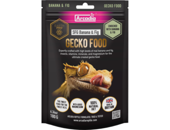 Earth Pro Gekko Stickyfood Gold Banaan en Vijg 180g