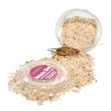 Insecta Shot voor Voederinsecten