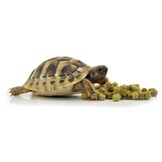 Voer voor Landschildpad Fruit en Bloemen 800g
