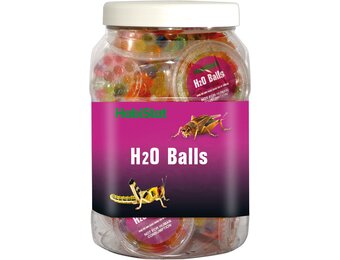 Terrarium Krekelvoeding H2O Balls
