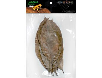 Rubber Bladeren 10 stuks