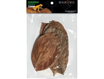 Jackfruit Bladeren 10 stuks