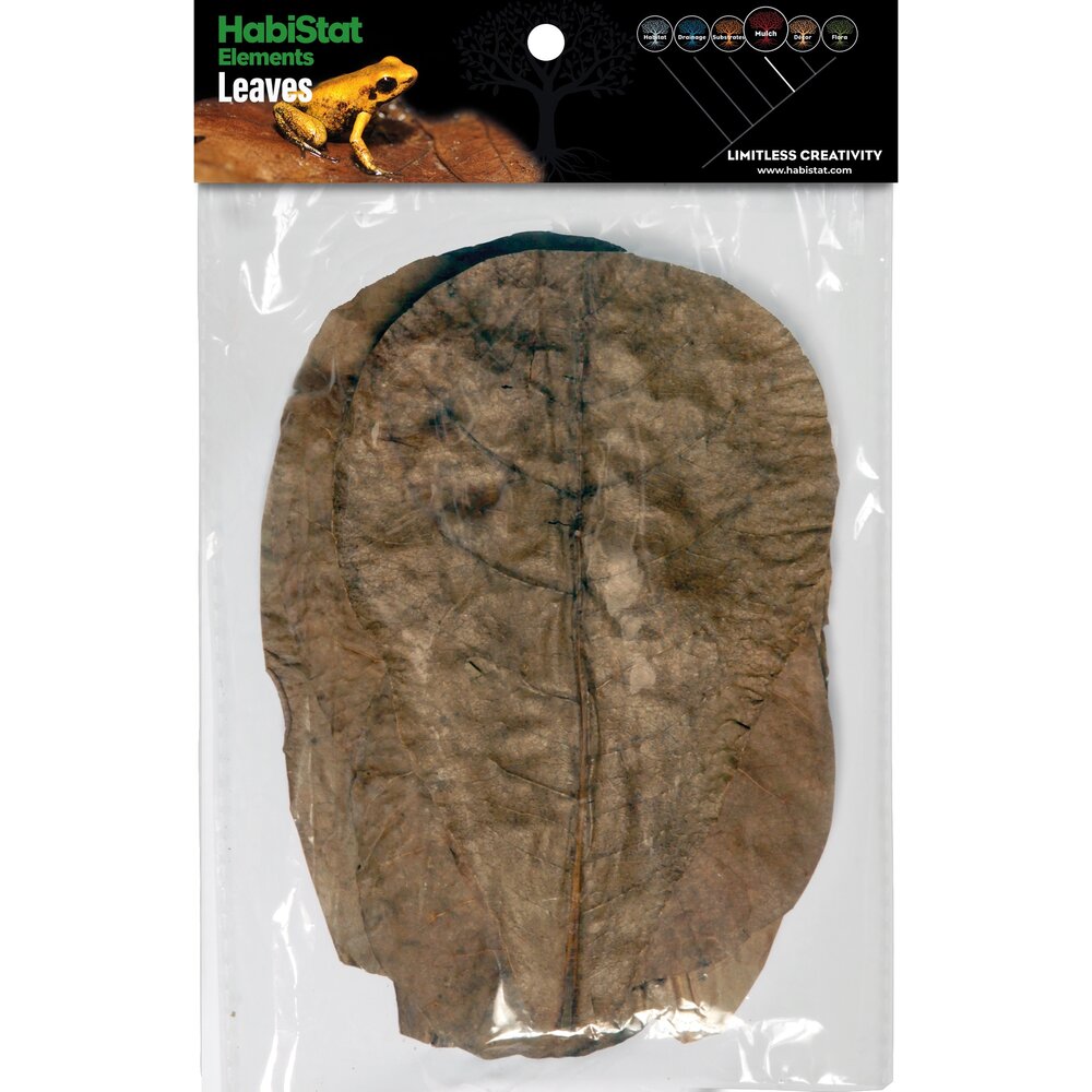 garnelenshop24de 200 stuks originele zeemandboombladeren, 10 cm, Catappa Leaves - topkwaliteit - 10-1000 stuks (200