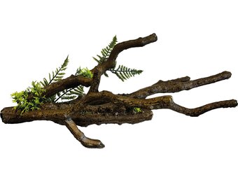 Terrarium Deco Branch L