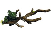 Terrarium Deco Branch S