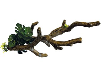 Terrarium Deco Branch S