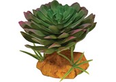 Terrarium Kunstplant Echeveria