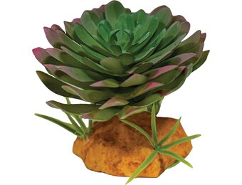 Terrarium Kunstplant Echeveria