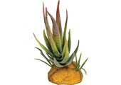 Terrarium Kunstplant Aloe Red Tip