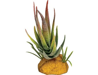 Terrarium Kunstplant Aloe Red Tip