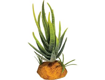 Terrarium Kunstplant Aloe Green