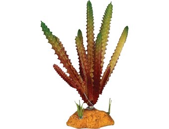 Terrarium Kunstplant Cactus Needle Red