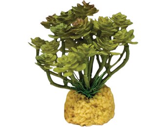 Terrarium Kunstplant Cactus Tree