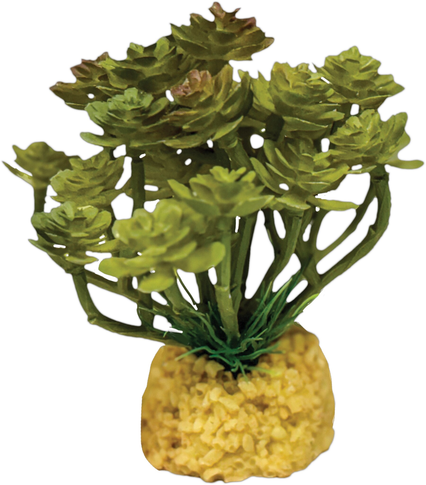 Terrarium Kunstplant Cactus Tree