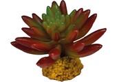 Terrarium Kunstplant Succulent Red