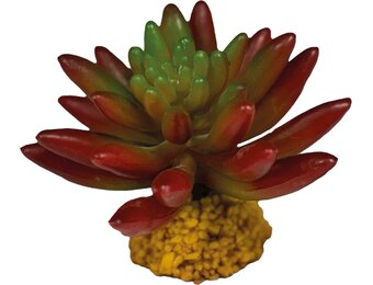 Terrarium Kunstplant Succulent Red