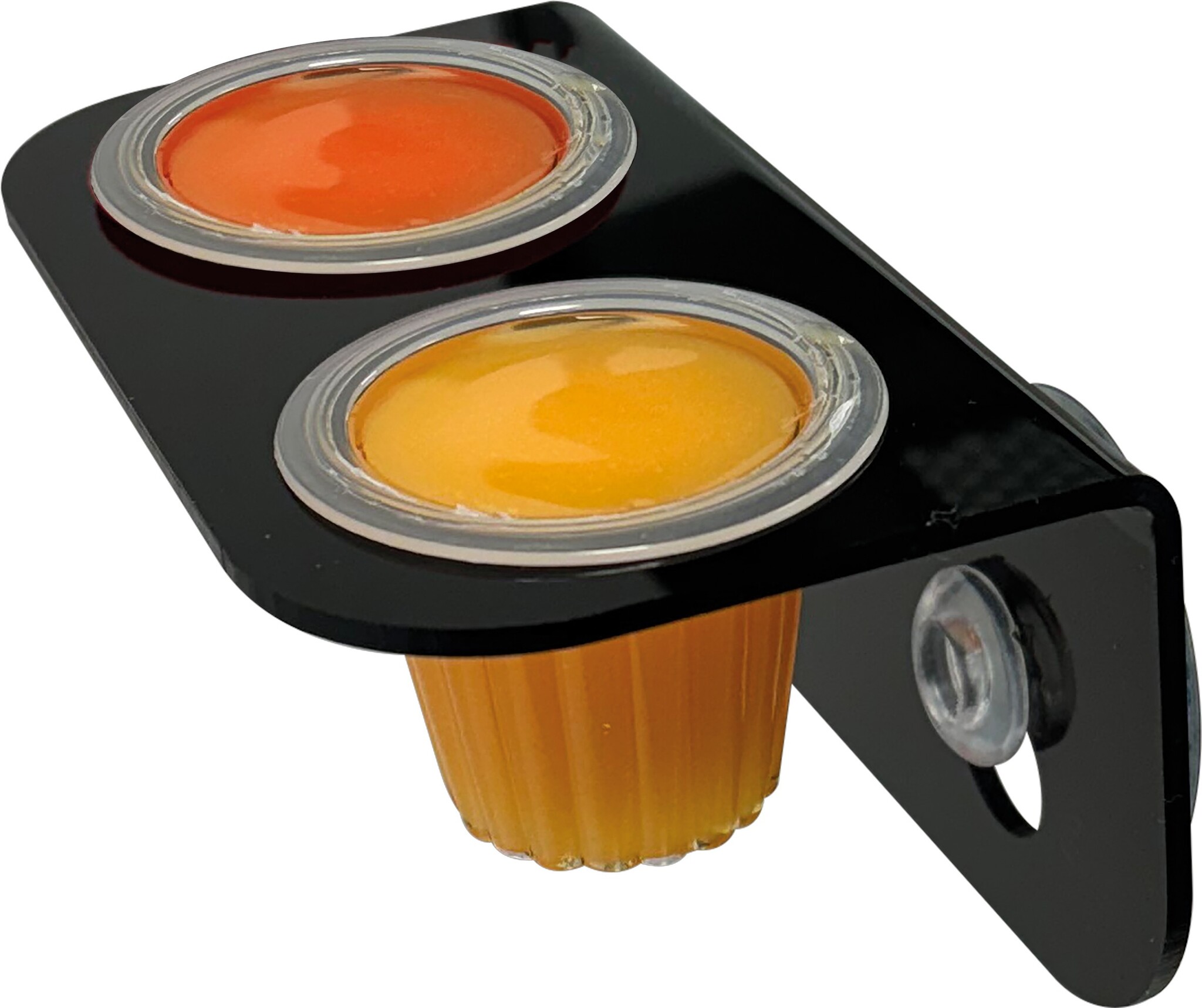 Reptielen Fruit Snack Houder