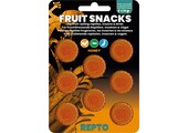 Reptielen Fruit Snacks Honey