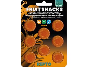 Reptielen Fruit Snacks Honey