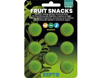 Reptielen Fruit Snacks Mango