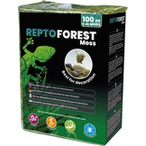 Forest Terrarium Mos 100g