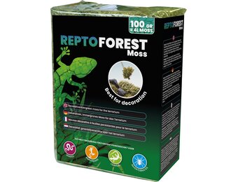 Forest Terrarium Mos 100g